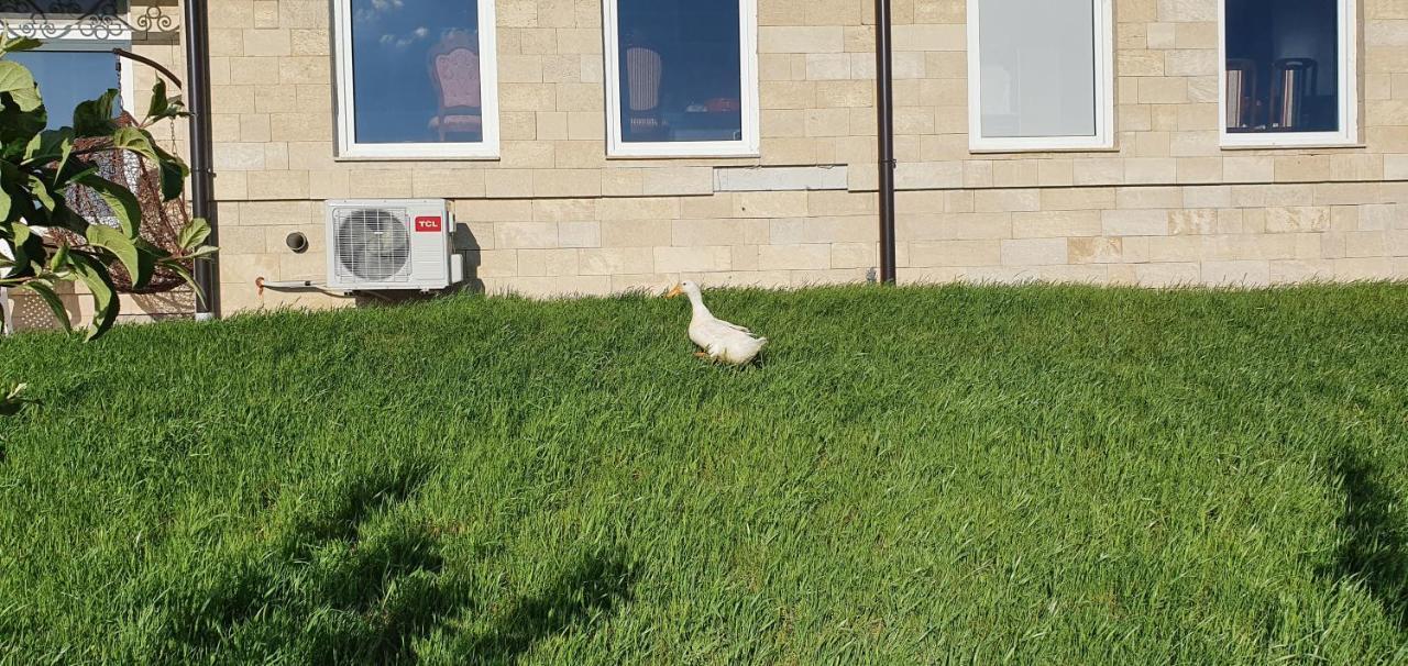 Apartmani Bojeresku ネゴティン エクステリア 写真